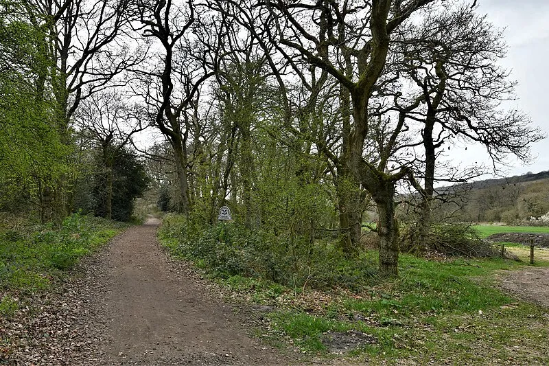 Abinger Roughs & Netley Park