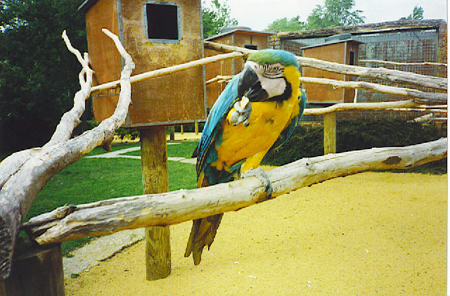 Birdworld