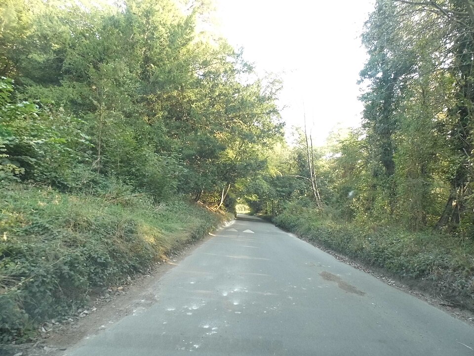 Box Hill Olympic Loop