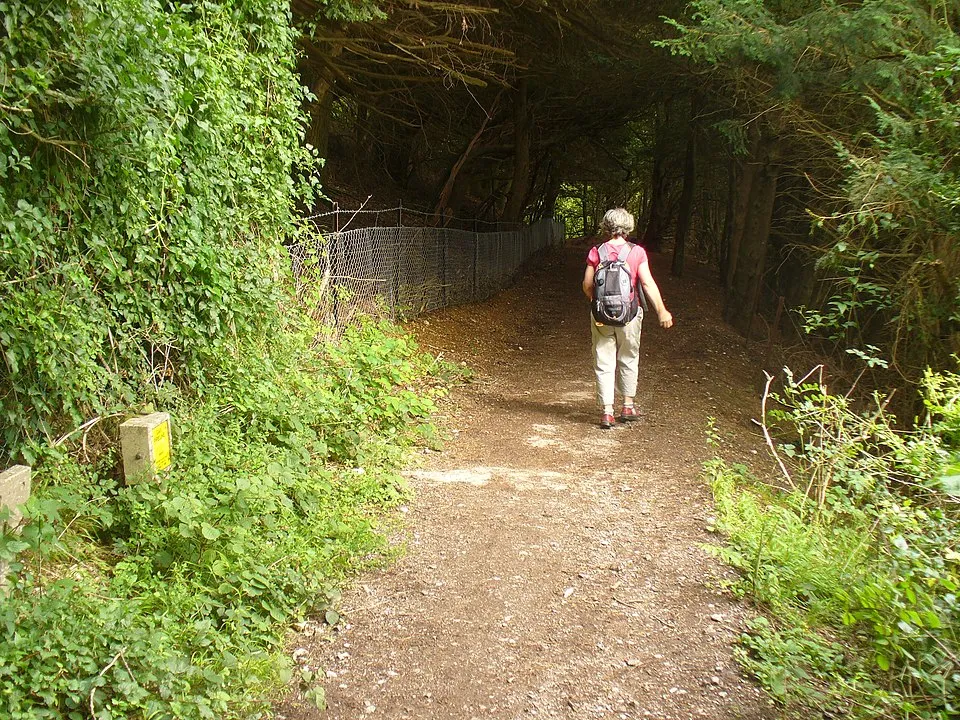 North Downs Way (Surrey Section)