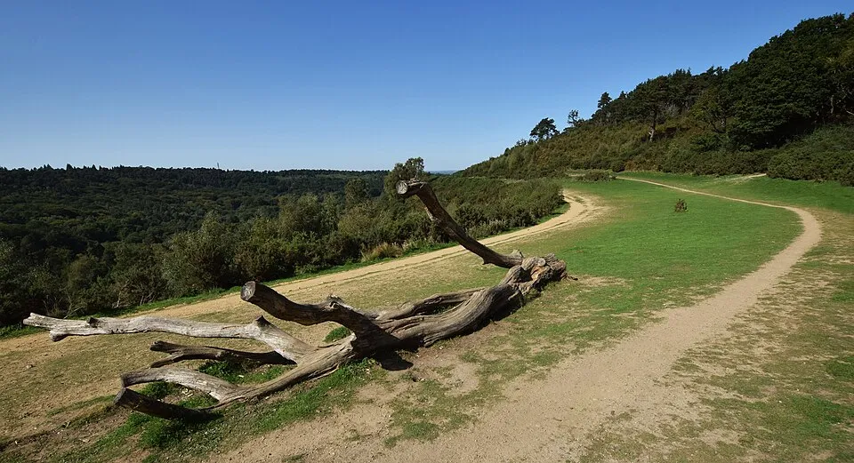 Hindhead