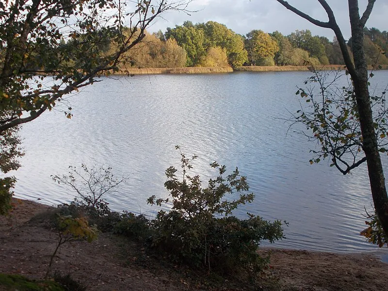 Frensham Ponds & Common