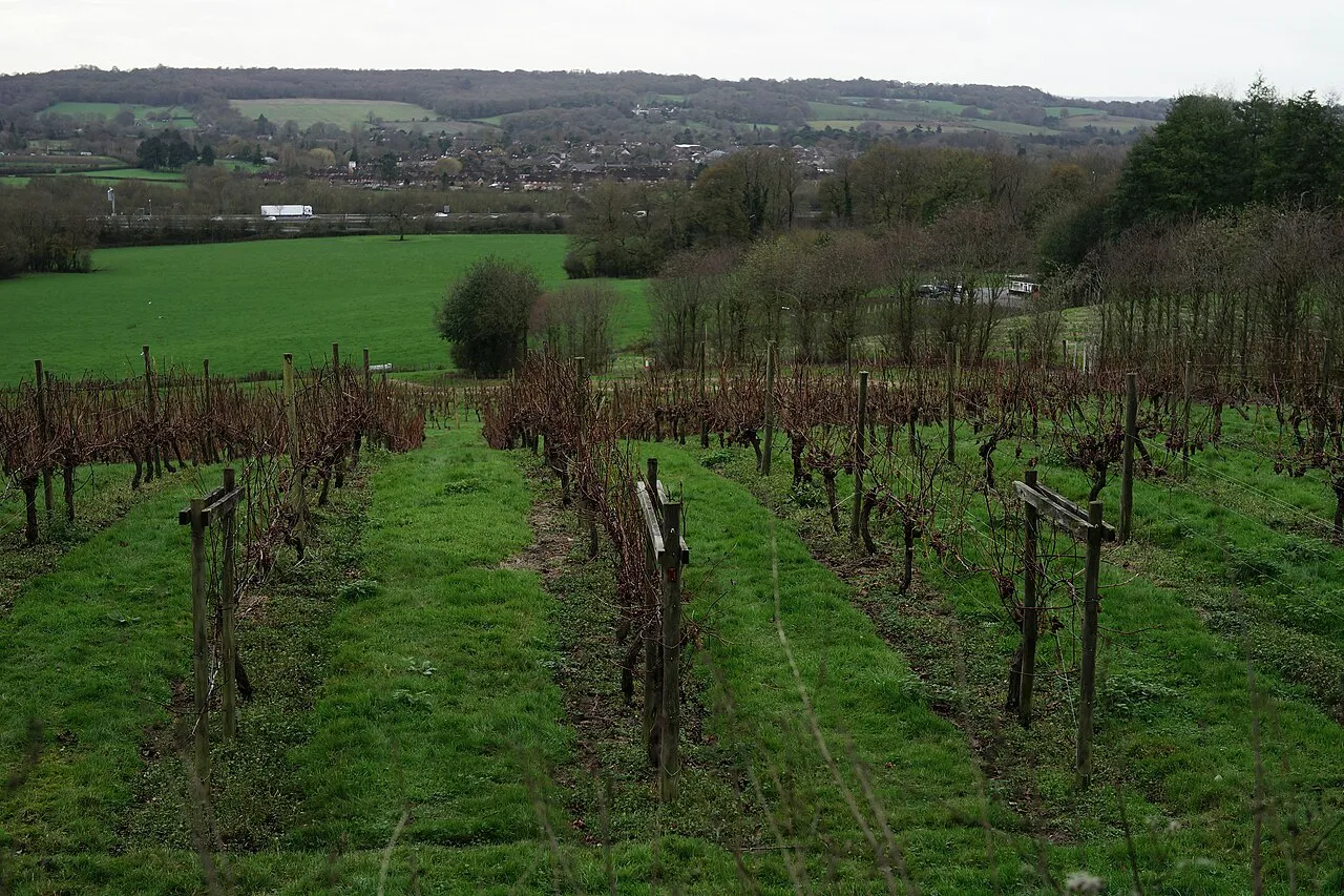 Godstone Vineyards