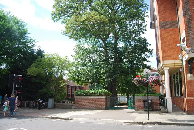 Royal Grammar School, Guildford