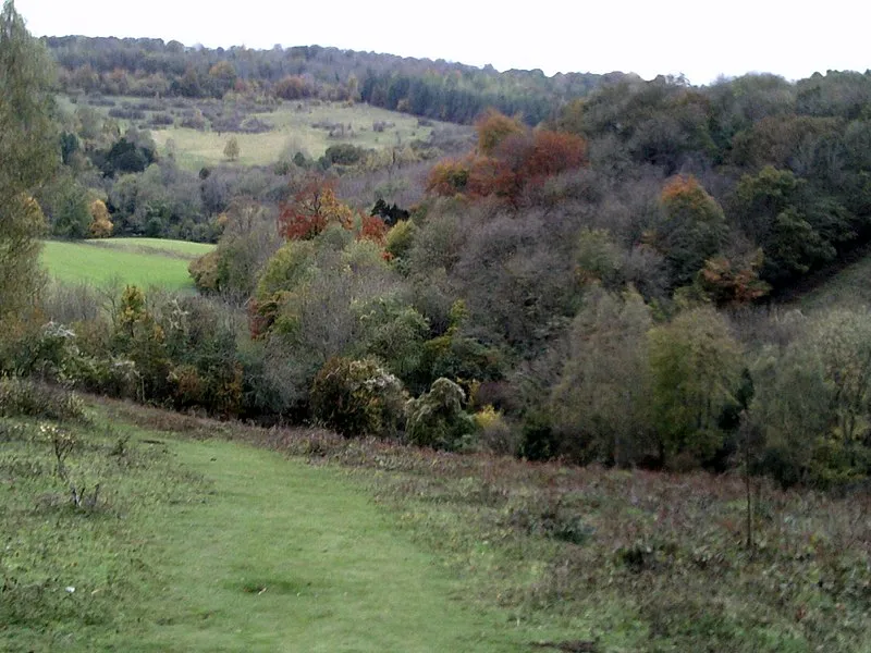 Headley Heath Circular