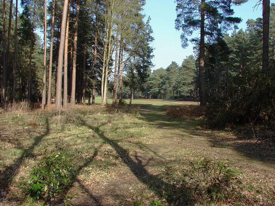 New Zealand Golf Club