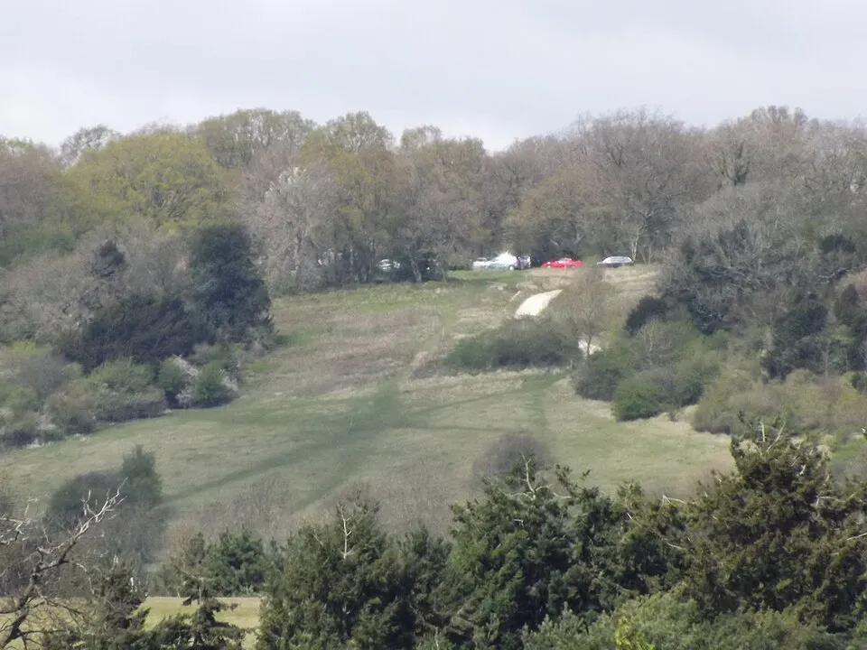 Newlands Corner to Shere