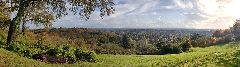 Reigate Hill & Gatton Park