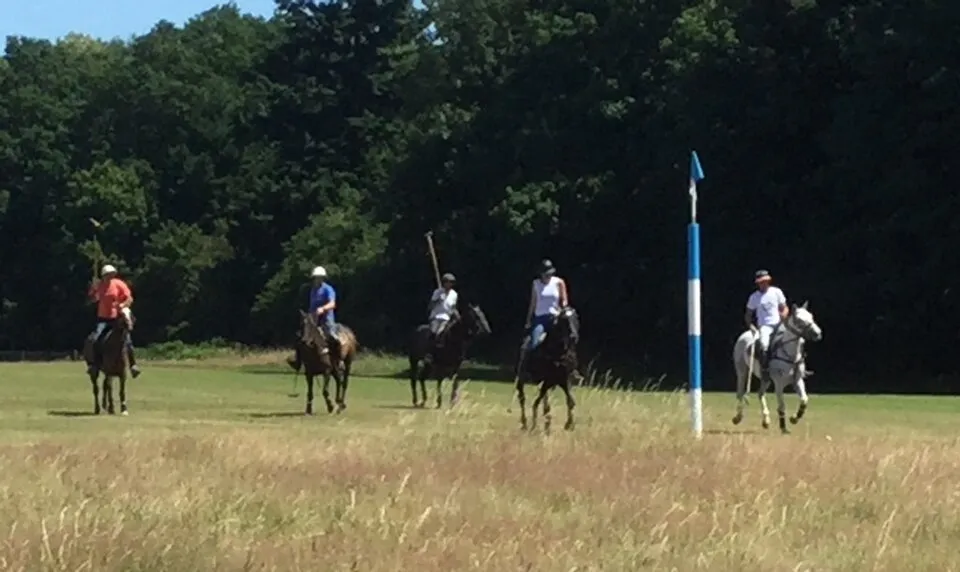 Hurtwood Park Polo
