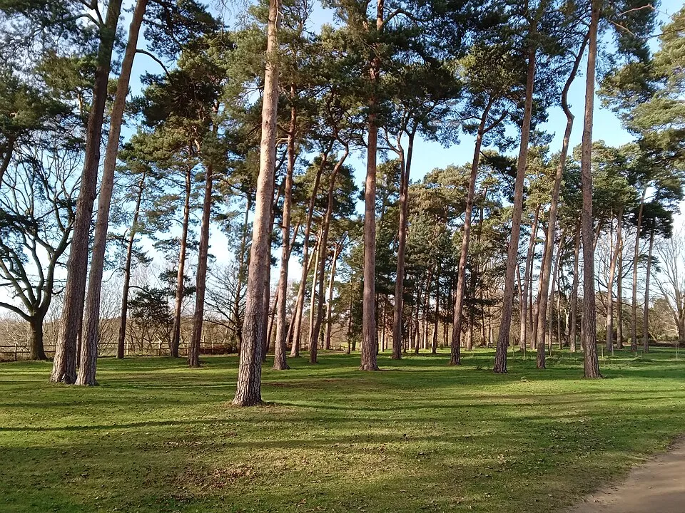 RHS Garden Wisley Flower Show