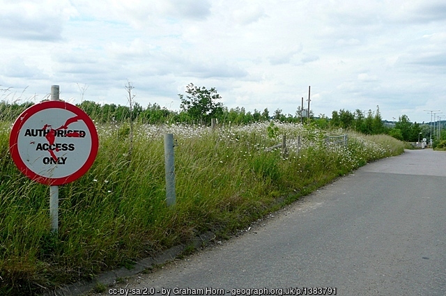 Harlequin Theatre & Cinema
