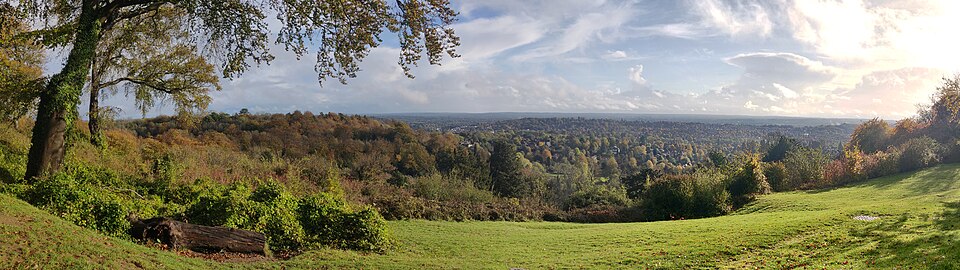 Dorking to Reigate Ridge