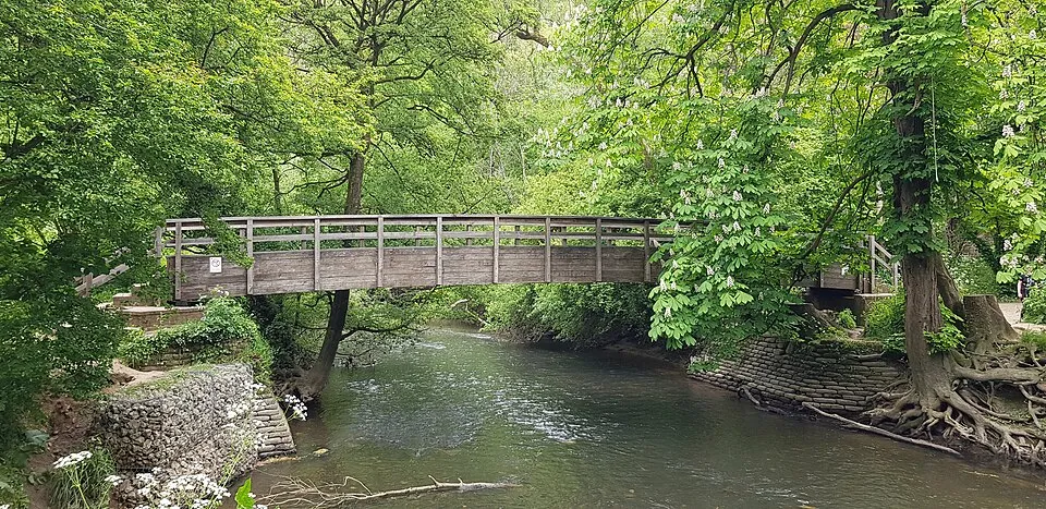 Box Hill Stepping Stones Circular