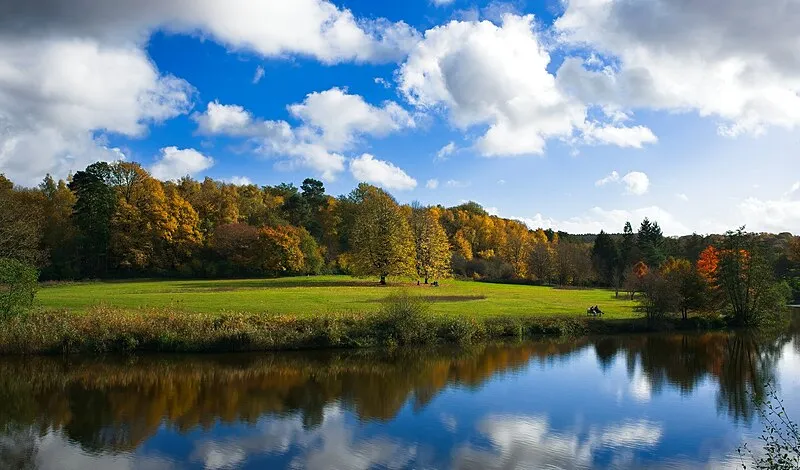 Winkworth Arboretum & Hascombe Hill