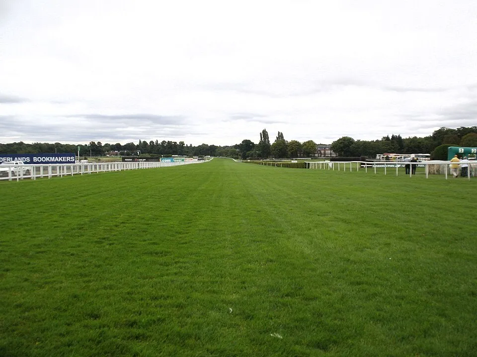 Sandown Park Racing