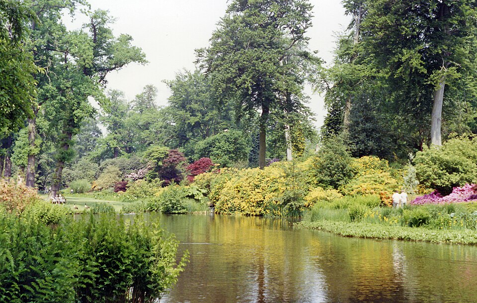 Savill Garden