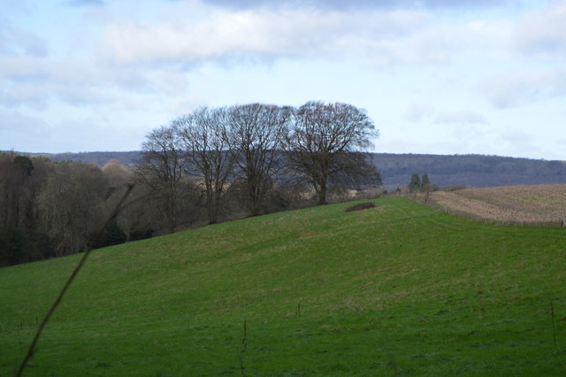 Surrey Artists Open Studios