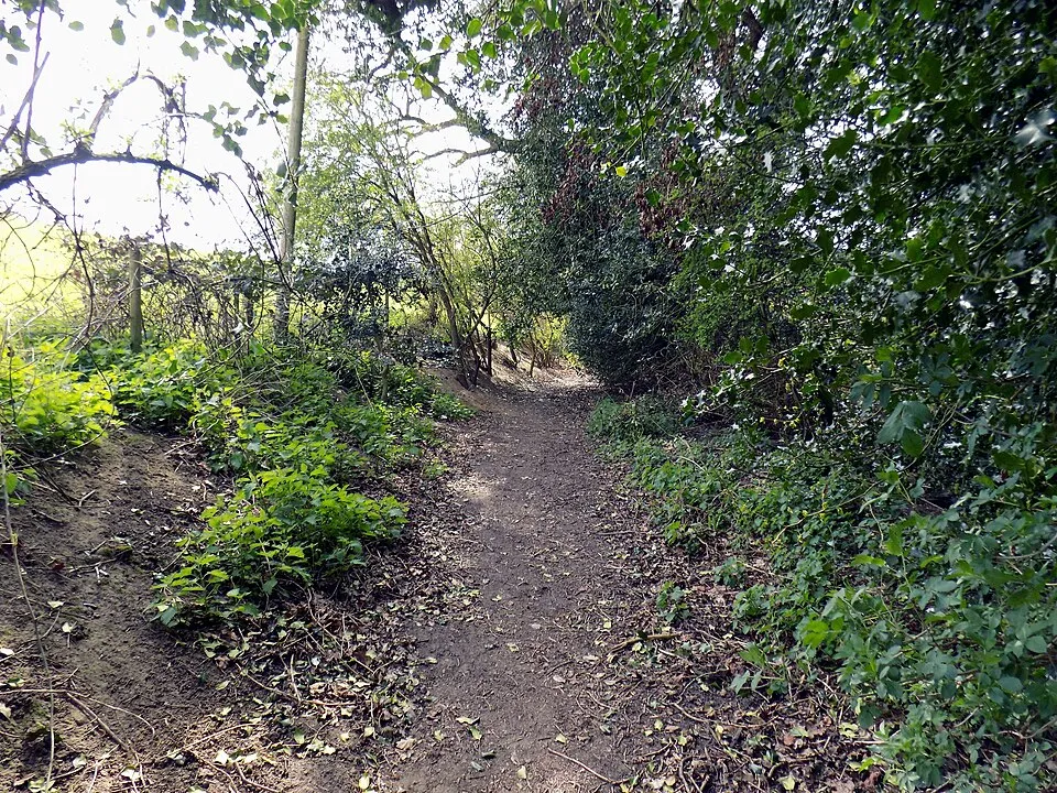 Greensand Way (Surrey Section)