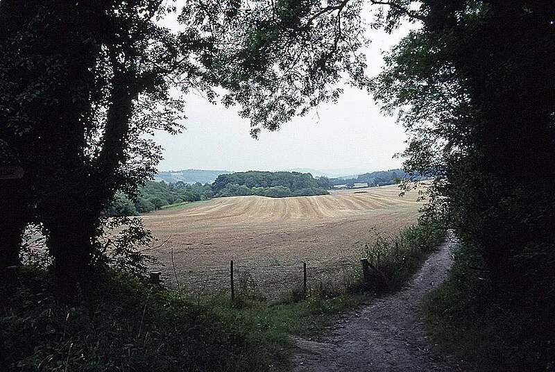 Hackhurst & White Downs