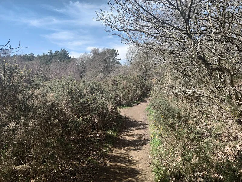 Witley & Milford Commons Walk